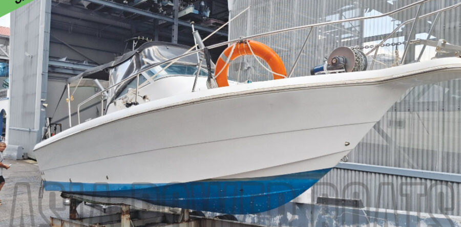 EXCLUSIVE! CHEAP AND GOOD! 25ft Sportfishing Boat for Sale!