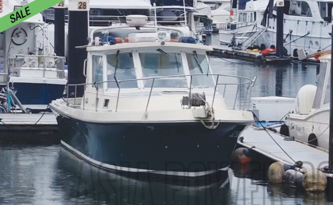 img_boat-for-sale_albin-31_01