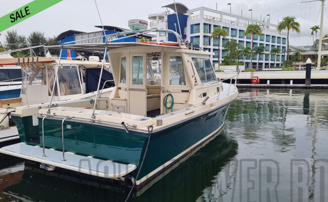 img_boat-for-sale_albin-31_02