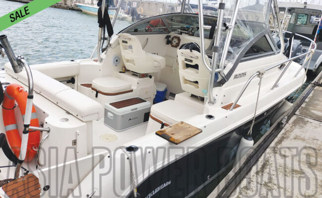 robalo-for-sale-singapore_02