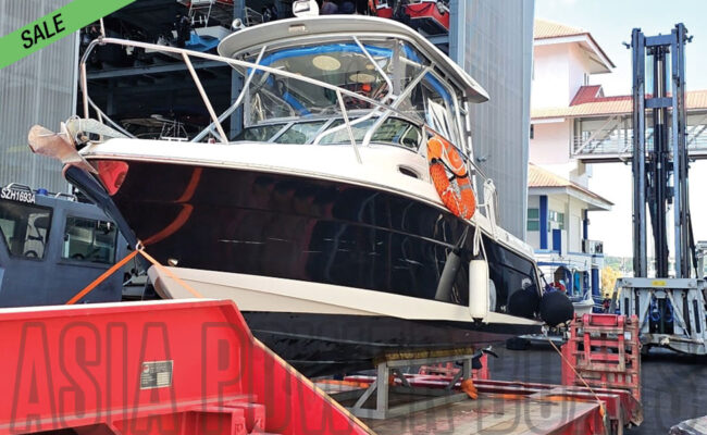 robalo-for-sale-singapore_03